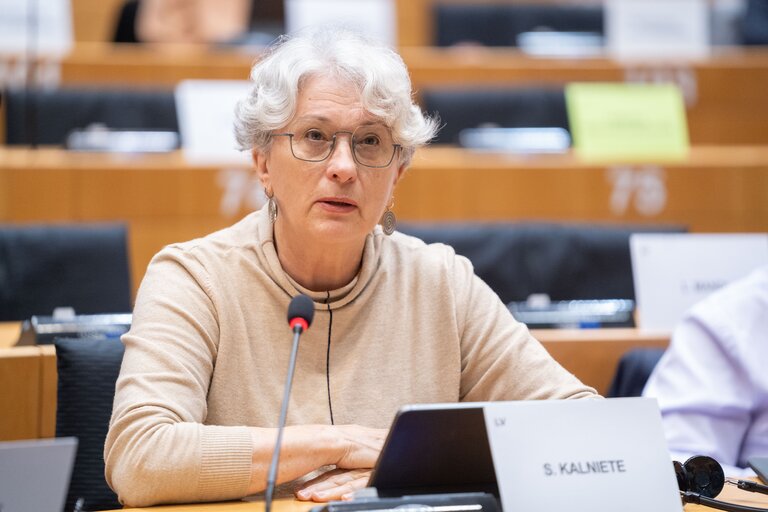 Photo 1: AFET Committee - Exchange of views with Sviatlana TSIKHANOUSKAYA, leader of democratic forces of Belarus and Sakharov Prize laureate 2020