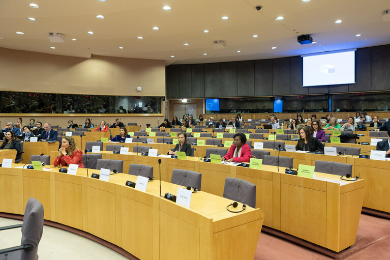 Photo 25 : FEMM Committee - Hearing: on 'Sexual violence and rape as abuses of power'