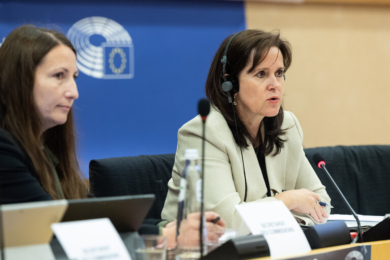 Photo 19 : FEMM Committee - Hearing: on 'Sexual violence and rape as abuses of power'