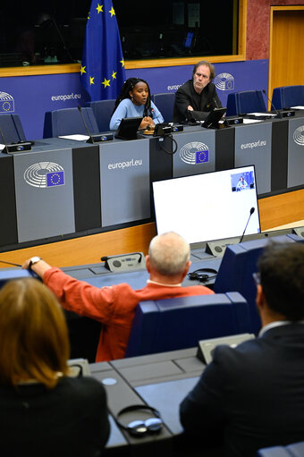 Fotagrafa 16: Meeting between ENVI MEPs, delegates of the EP delegation to COP27, and climate activist Elizabeth WATHUTI.