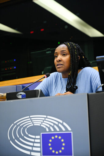 Fotagrafa 14: Meeting between ENVI MEPs, delegates of the EP delegation to COP27, and climate activist Elizabeth WATHUTI.