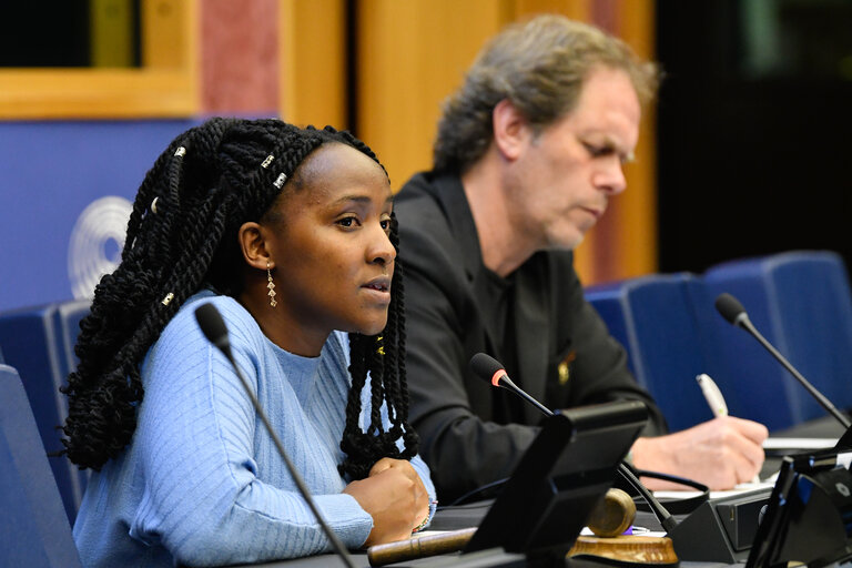 Fotagrafa 7: Meeting between ENVI MEPs, delegates of the EP delegation to COP27, and climate activist Elizabeth WATHUTI.