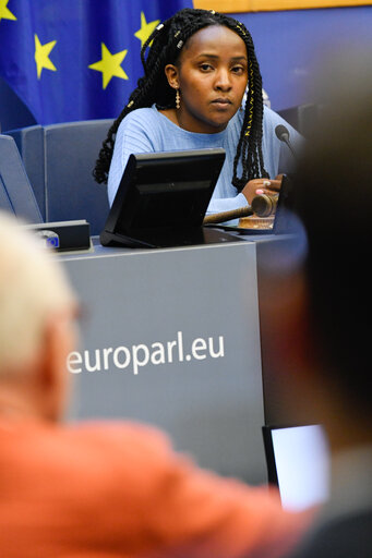 Fotagrafa 6: Meeting between ENVI MEPs, delegates of the EP delegation to COP27, and climate activist Elizabeth WATHUTI.