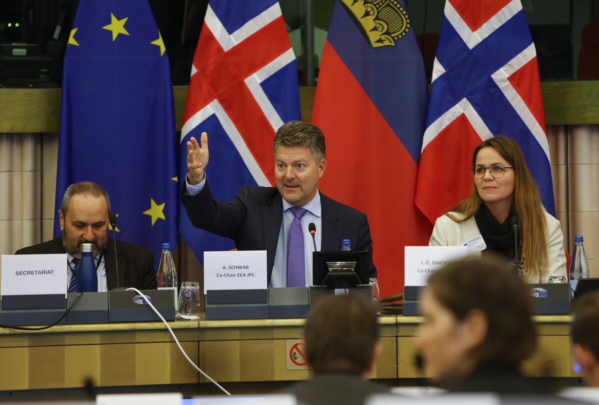 58th meeting of the EEA Joint Parliamentary Committee