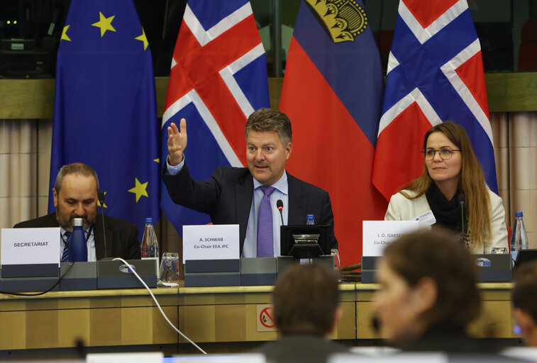 Fotografie 23: 58th meeting of the EEA Joint Parliamentary Committee