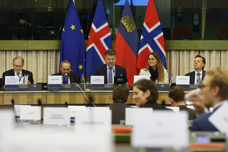 Fotografie 26: 58th meeting of the EEA Joint Parliamentary Committee