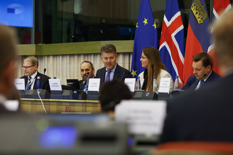 Fotografie 22: 58th meeting of the EEA Joint Parliamentary Committee