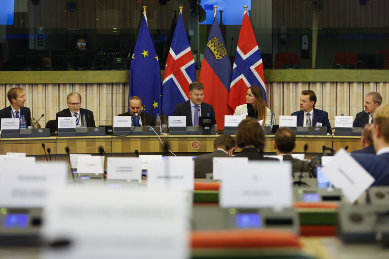 Fotografie 25: 58th meeting of the EEA Joint Parliamentary Committee