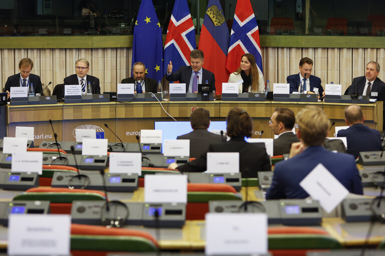 Fotografie 24: 58th meeting of the EEA Joint Parliamentary Committee