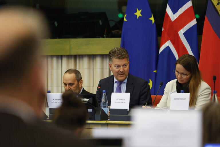 Fotografie 21: 58th meeting of the EEA Joint Parliamentary Committee