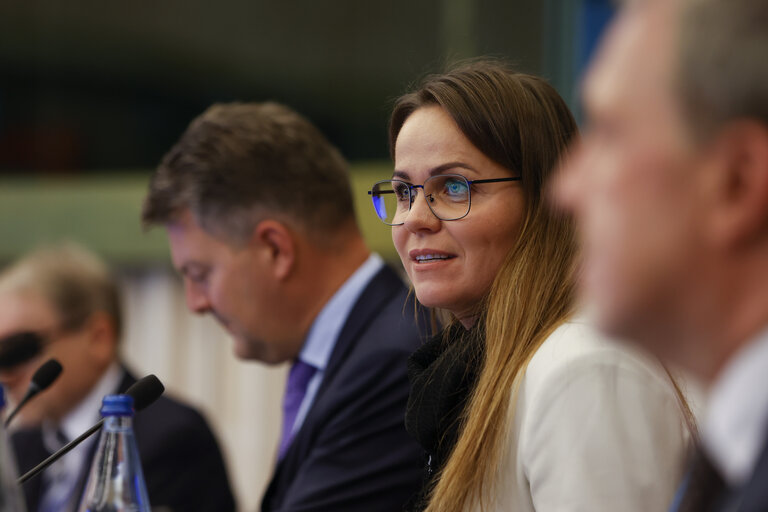 Fotografie 20: 58th meeting of the EEA Joint Parliamentary Committee