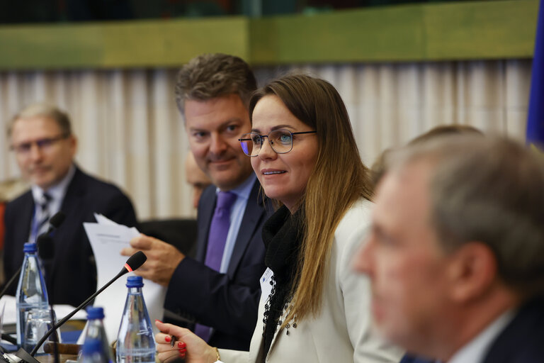 Fotografie 19: 58th meeting of the EEA Joint Parliamentary Committee