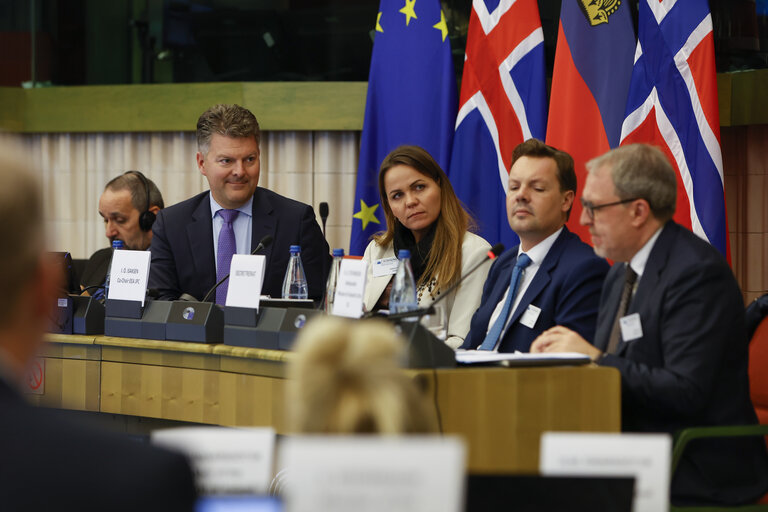 Fotografie 5: 58th meeting of the EEA Joint Parliamentary Committee