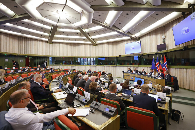 Fotografie 4: 58th meeting of the EEA Joint Parliamentary Committee