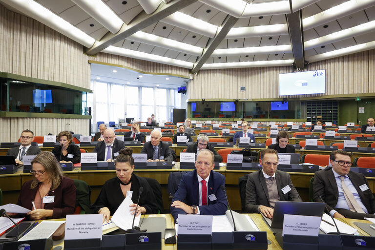 Fotografie 11: 58th meeting of the EEA Joint Parliamentary Committee