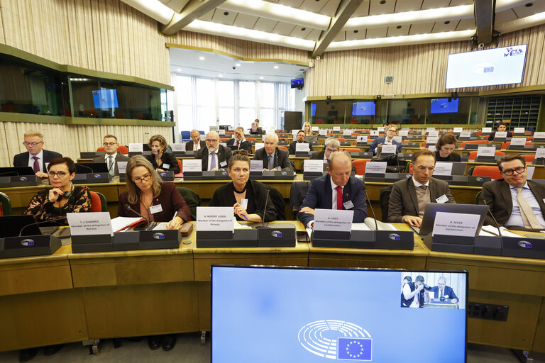 Fotografie 10: 58th meeting of the EEA Joint Parliamentary Committee