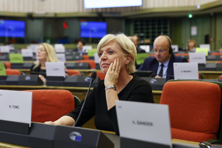 Fotografie 7: 58th meeting of the EEA Joint Parliamentary Committee