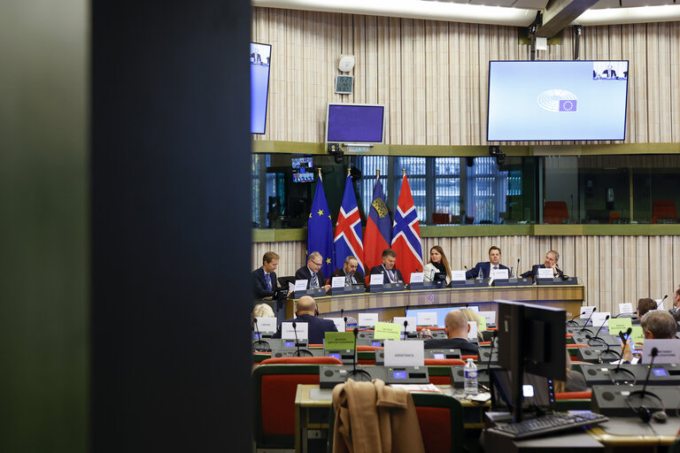 Fotografie 1: 58th meeting of the EEA Joint Parliamentary Committee