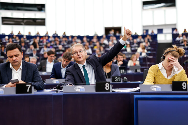 Fotografi 21: EP Plenary session - Voting session