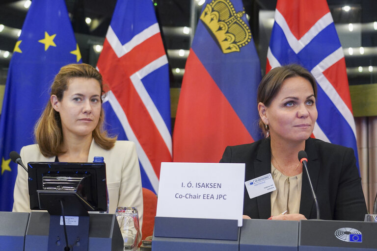 Valokuva 1: 58th meeting of the EEA Joint Parliamentary Committee