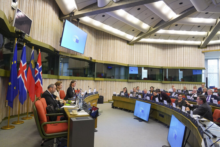 Fotografia 2: 58th meeting of the EEA Joint Parliamentary Committee