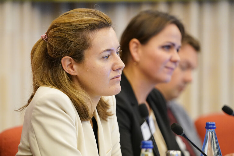 Fotografia 4: 58th meeting of the EEA Joint Parliamentary Committee