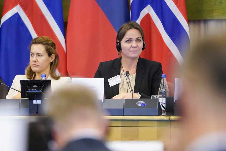 Valokuva 13: 58th meeting of the EEA Joint Parliamentary Committee