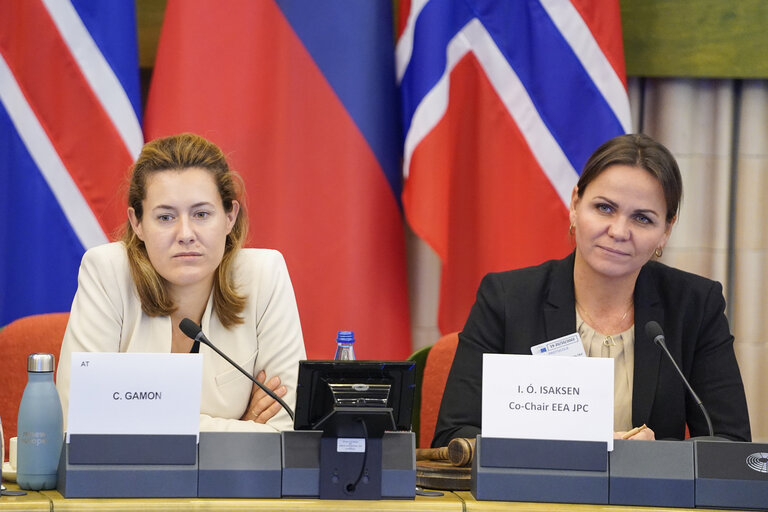 Fotografia 5: 58th meeting of the EEA Joint Parliamentary Committee