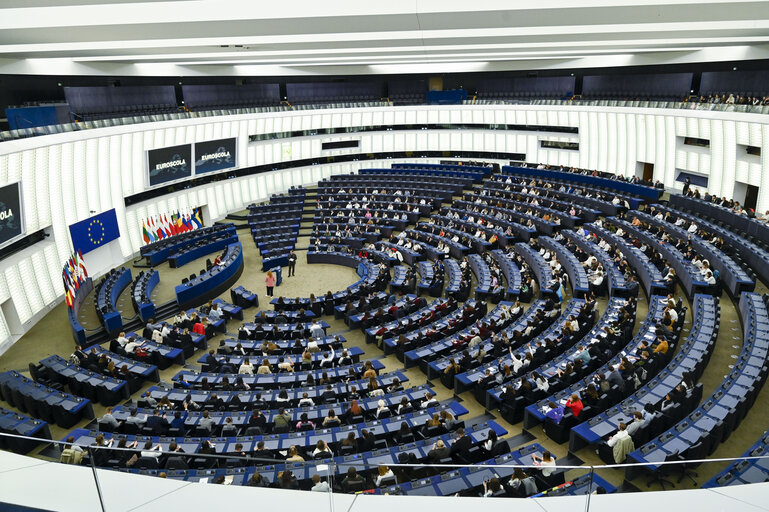 Photo 42: Euroscola