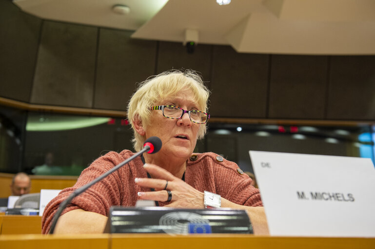 Foto 2: REGI Committee - The New EU Urban Mobility Framework