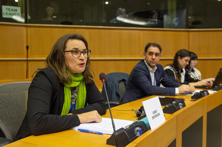 Foto 7: REGI Committee - The New EU Urban Mobility Framework