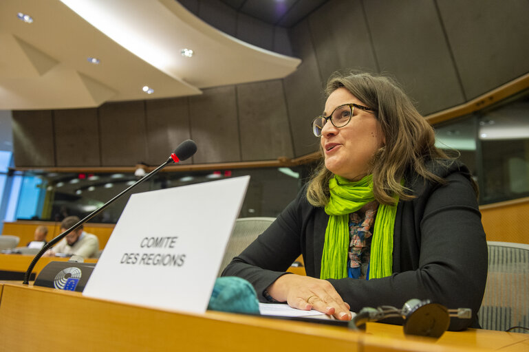 Foto 8: REGI Committee - The New EU Urban Mobility Framework