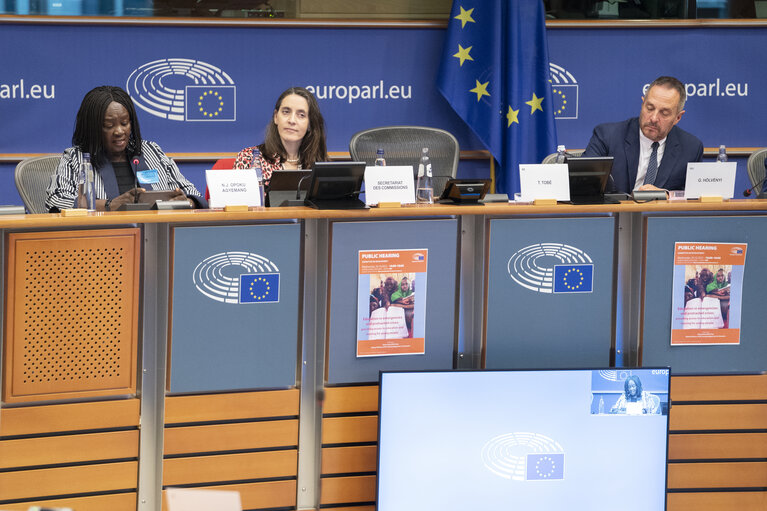 Fotografi 6: DEVE Committee public hearing  ‘ Education in emergencies and protracted crises: providing access to education and training for young people ’