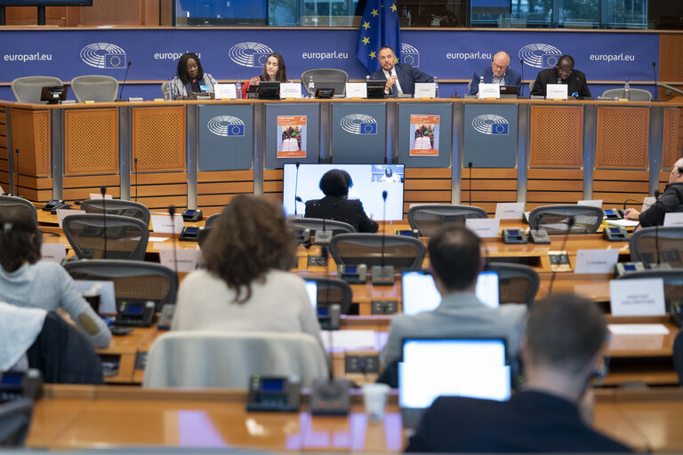 Fotografi 7: DEVE Committee public hearing  ‘ Education in emergencies and protracted crises: providing access to education and training for young people ’