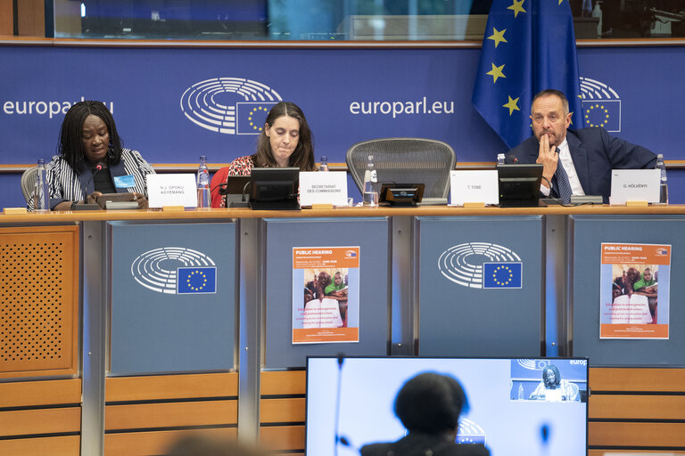 Fotografi 8: DEVE Committee public hearing  ‘ Education in emergencies and protracted crises: providing access to education and training for young people ’