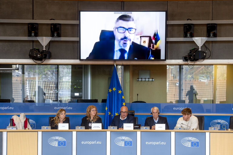 Fotó 6: DMAG Joint Parliamentary Committee - Exchange of views on EU relations with Libya