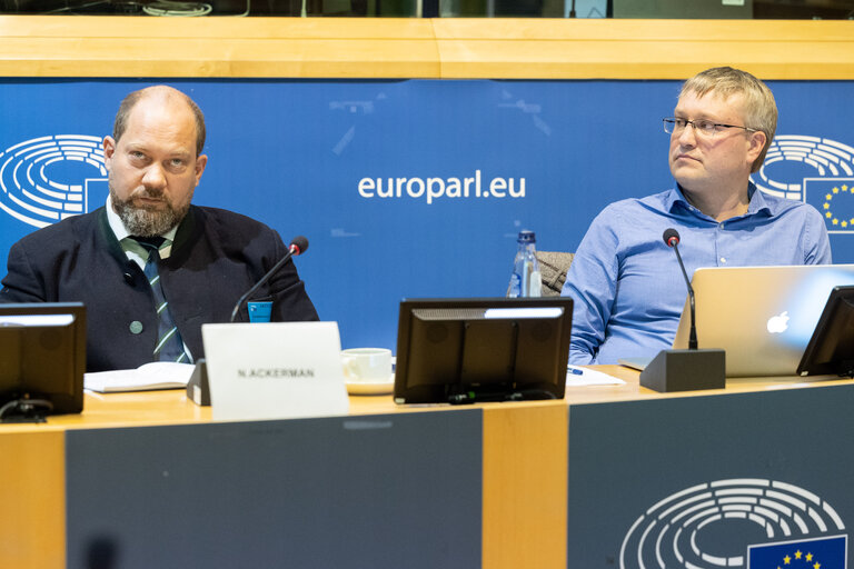 STOA Workshop - AI Public Perspectives