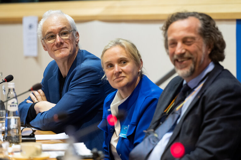 STOA Workshop - AI Public Perspectives