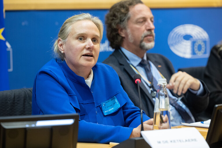 STOA Workshop - AI Public Perspectives