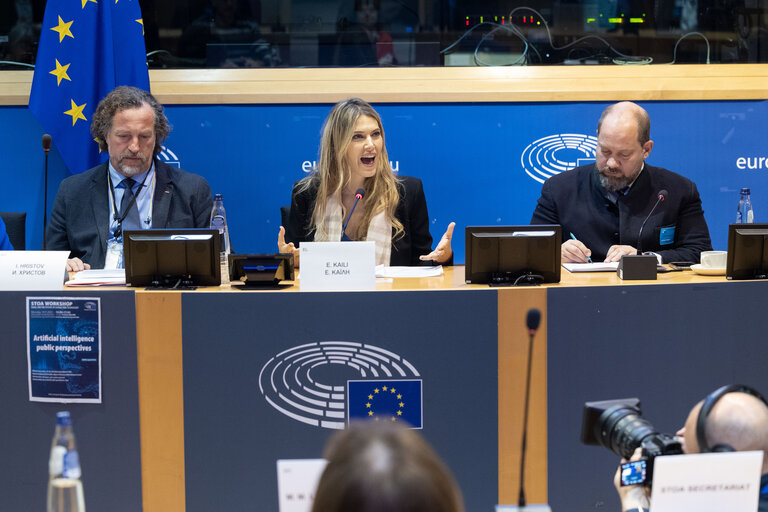 STOA Workshop - AI Public Perspectives