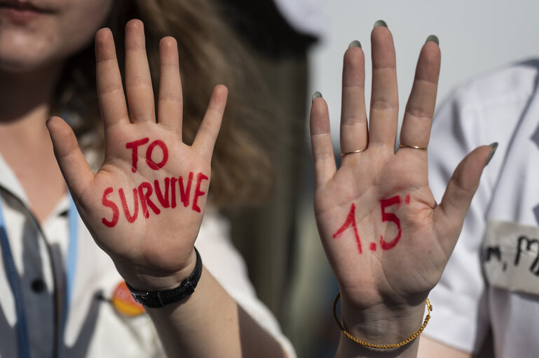 Photo 18 : COP27 UN Climate Change Conference in Sharm El-Sheikh, Egypt.