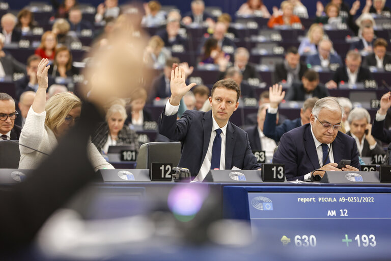 EP Plenary session - Voting session