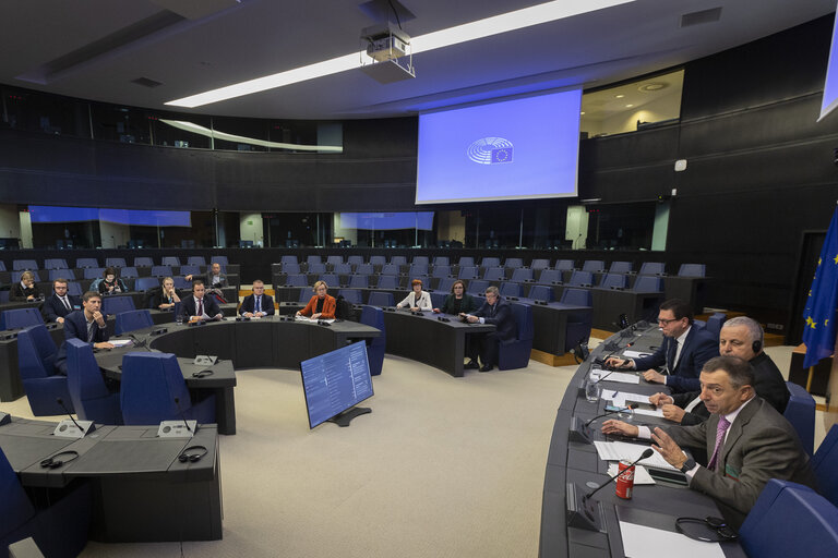 Minority Intergroup meeting