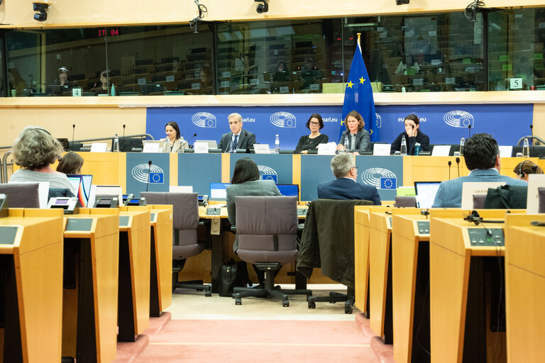 Photo 11 : COVI Public Hearing ' Socio-economic impact on vulnerable people '