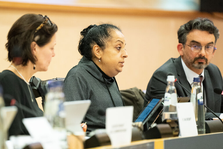 Photo 1 : COVI Public Hearing ' Socio-economic impact on vulnerable people '