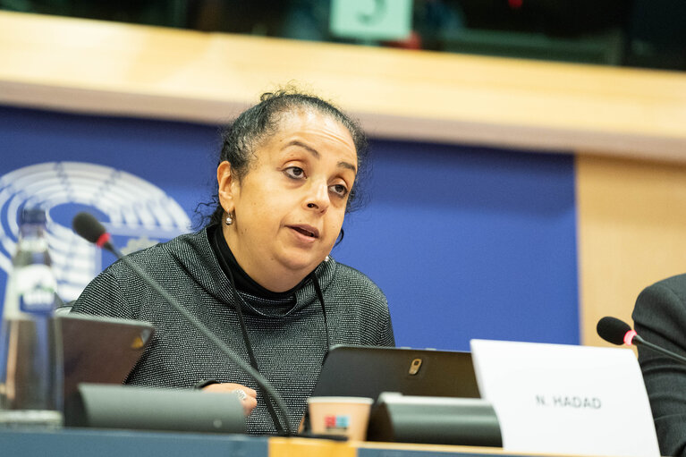 Photo 2 : COVI Public Hearing ' Socio-economic impact on vulnerable people '