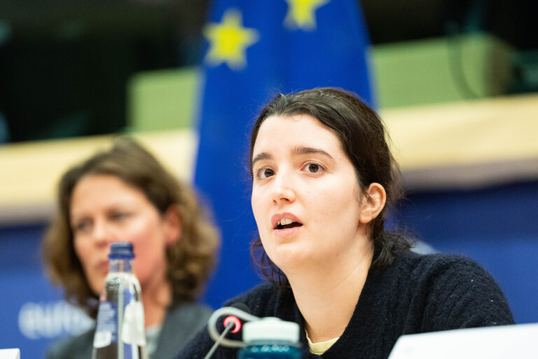 Photo 13 : COVI Public Hearing ' Socio-economic impact on vulnerable people '