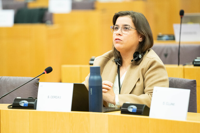 Photo 9 : COVI Public Hearing ' Socio-economic impact on vulnerable people '