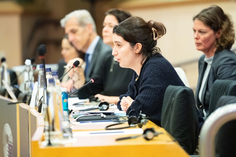 Photo 12 : COVI Public Hearing ' Socio-economic impact on vulnerable people '