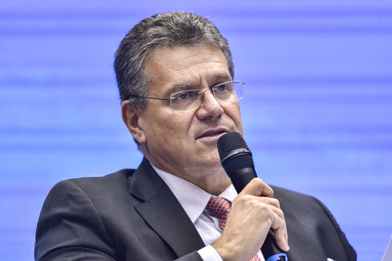 Suriet 30: Conference on the Future of Europe - Feedback Event